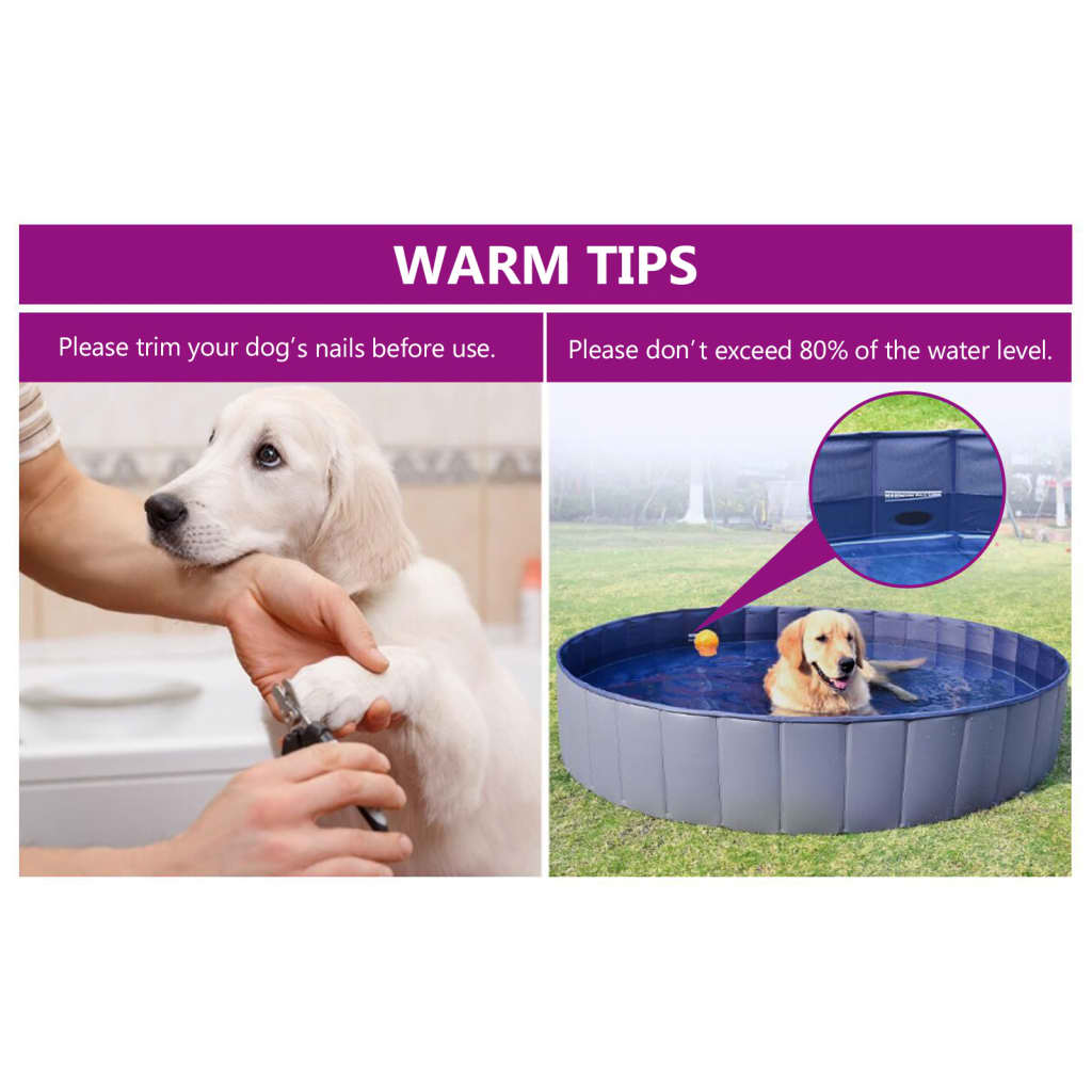 Piscina para perro